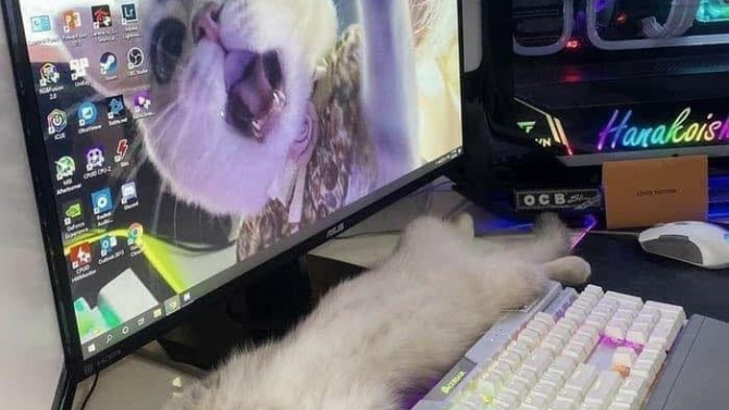L&agrave;m việc online tại nh&agrave;
