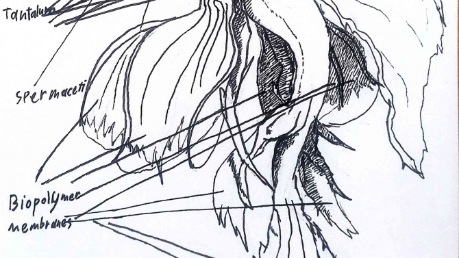 Concept artist, designer, comic artist, technical artist