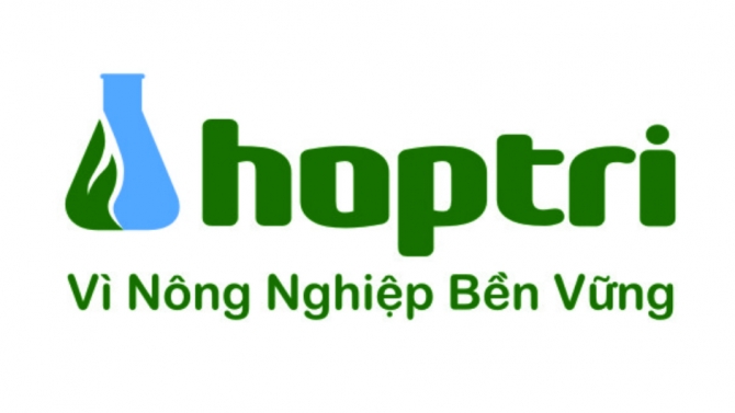 Big Idea v&agrave; Kịch bản ph&acirc;n cảnh cho Hợp Tr&iacute; Casi