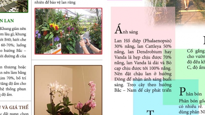 Thiết kế s&aacute;ch