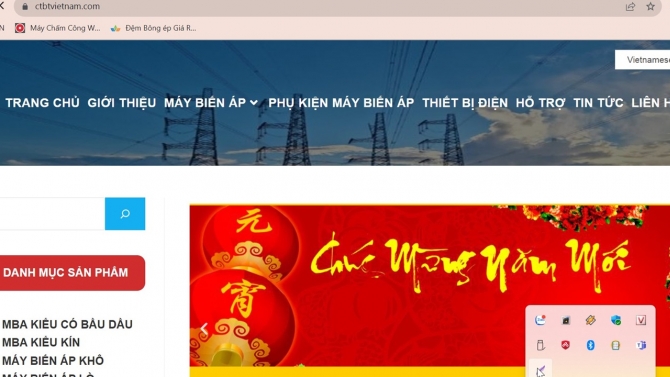 Thiết kế website https://ctbtvietnam