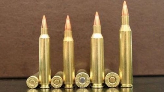 m&igrave;nh l&agrave; sinh vi&ecirc;n muốn kiếm việc l&agrave;m trong m&ugrave;a dịch