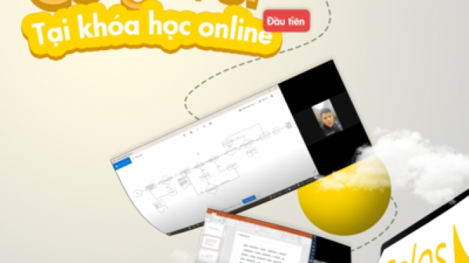 Thiết kế nhận diện thương hiệu Palos Institute