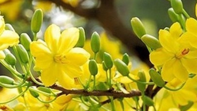 Nhận viết phần mềm