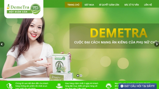 Lập tr&igrave;nh web demetra.vn