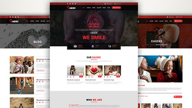 Dao diện web