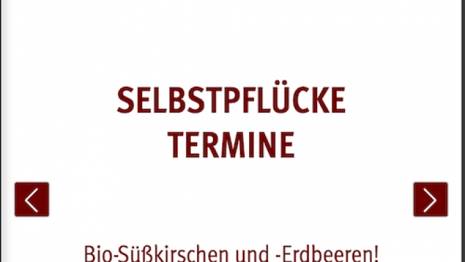 Obsthof am Steinberg - OpenCart E-commerce Website