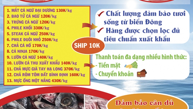 thiết kế menu