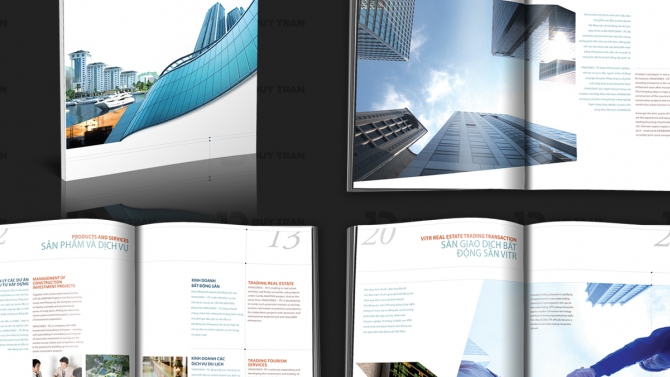 Vinaconex Company Profile