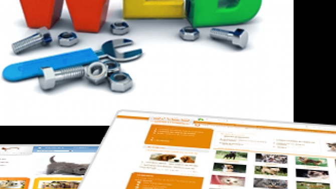 Chỉnh sửa web theo y&ecirc;u cầu của dự &aacute;n