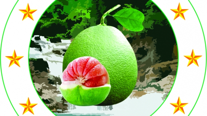 bưởi da xanh