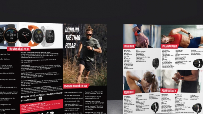 Brochure Marketing