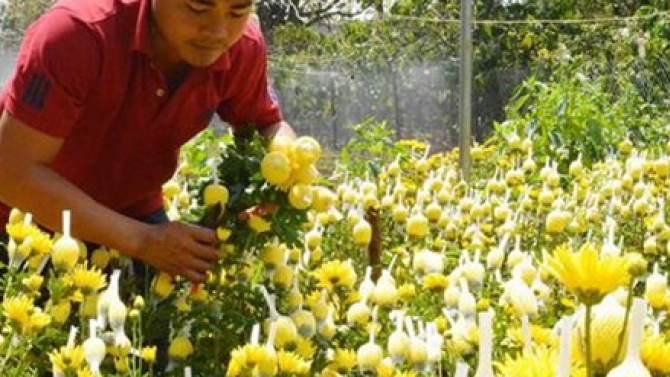 dựng hậu kỳ