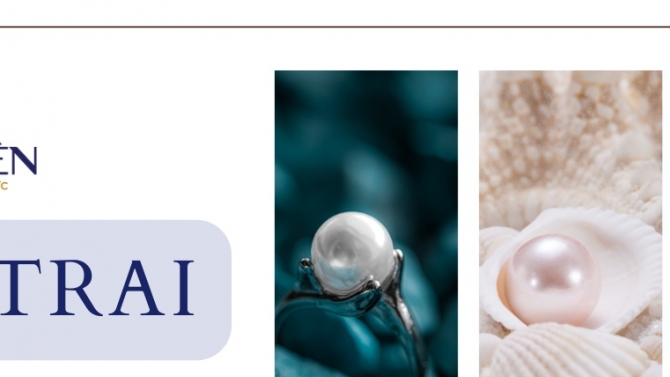 Thiết kế, lập tr&igrave;nh web Vi&ecirc;n Vi&ecirc;n