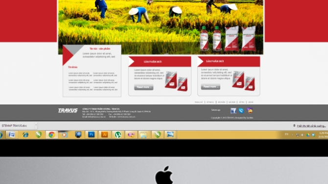 Thiết kế website v&agrave; thương hiệ