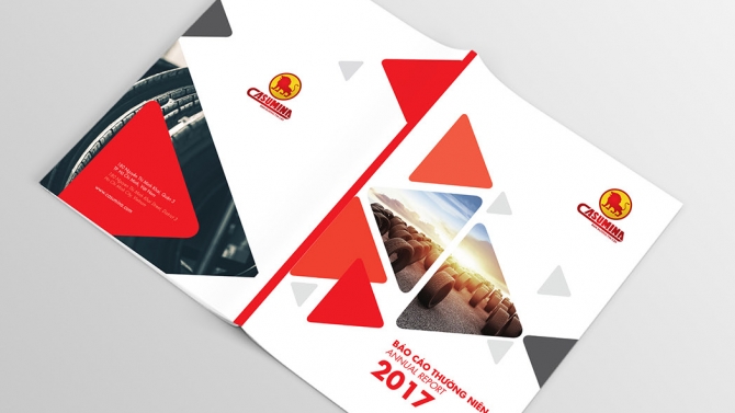 Casumina Annual Report
