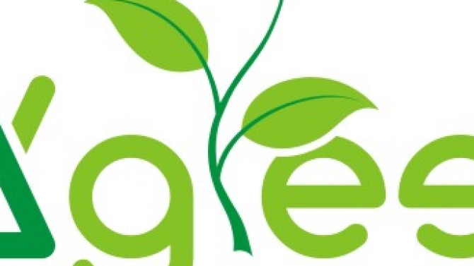 Thiết Kế Logo MKGreen