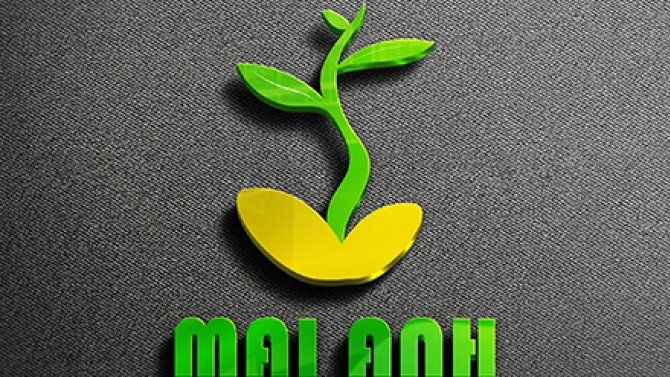 MAI ANH - Cửa h&agrave;ng c&acirc;y cảnh