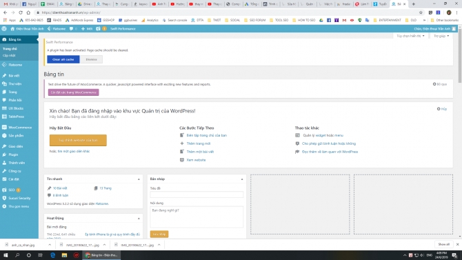 SEO website dienthoaitrananh.vn