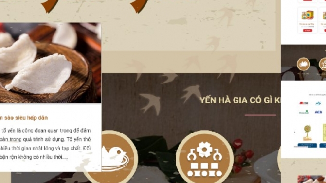 Website H&agrave; Gia Yến