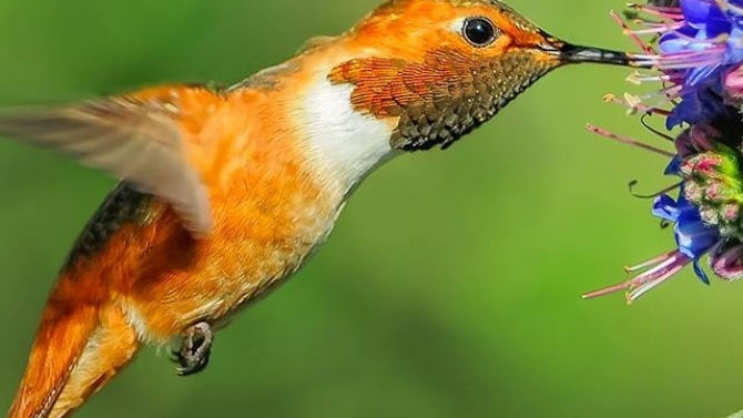 Sổ s&aacute;ch kế to&aacute;n, nhập liệu, viết b&agrave;i