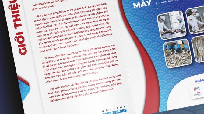 Thiết kế catalogue c&ocirc;ng ty Sovifood