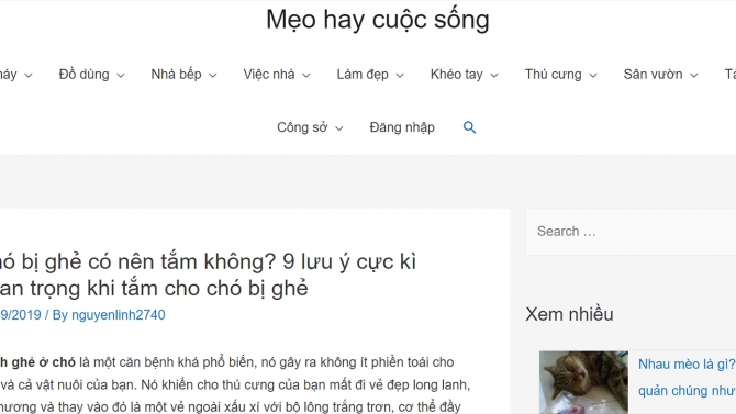 Viết b&agrave;i SEO website