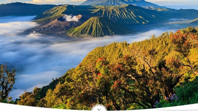 Oceanlink Travel