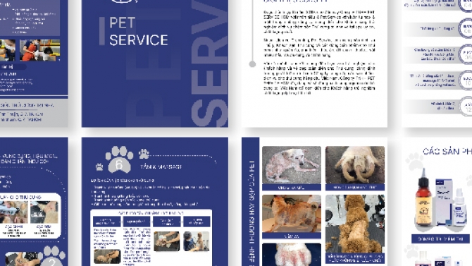 Thiết Kế Brochure Spa Th&uacute; Cưng