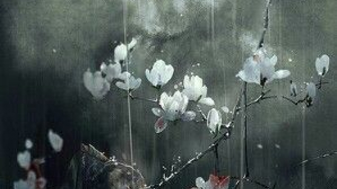 Dịch phim