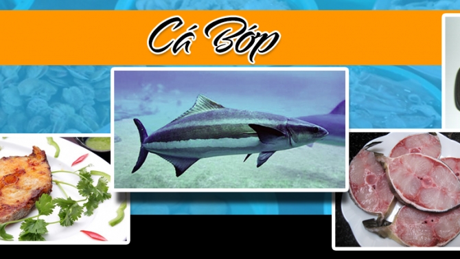 Thiết kế quảng c&aacute;o cho website