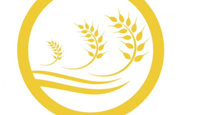 Logo cho C&ocirc;ng ty Phi Hiển