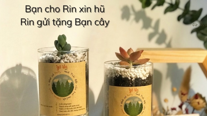 X&acirc;y dựng bố cục, chụp, chỉnh sửa, thiết kế h&igrave;nh ảnh