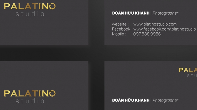 Card Palatino Studio