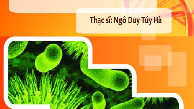 Thiết kế b&igrave;a s&aacute;ch