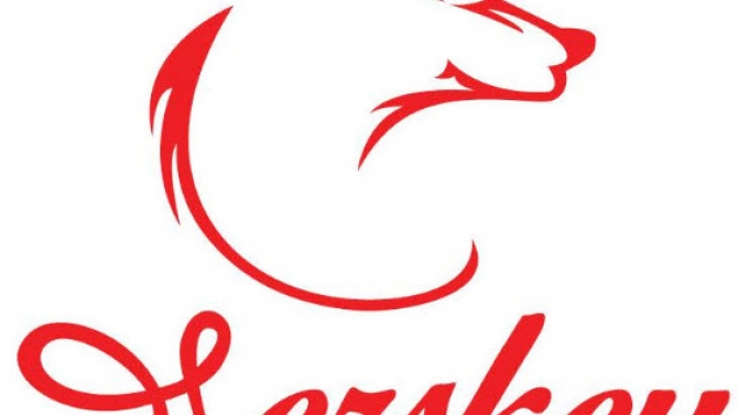 Thiết kế logo