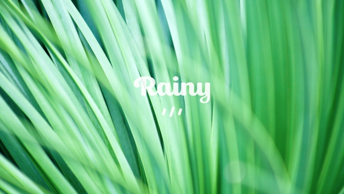 X&acirc;y dựng Bộ nhận diện thương hiệu (brand identity) cho Rainy