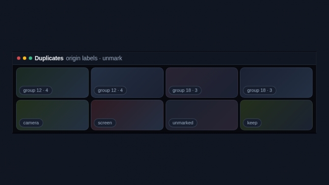 Visual duplicates page with origin labels