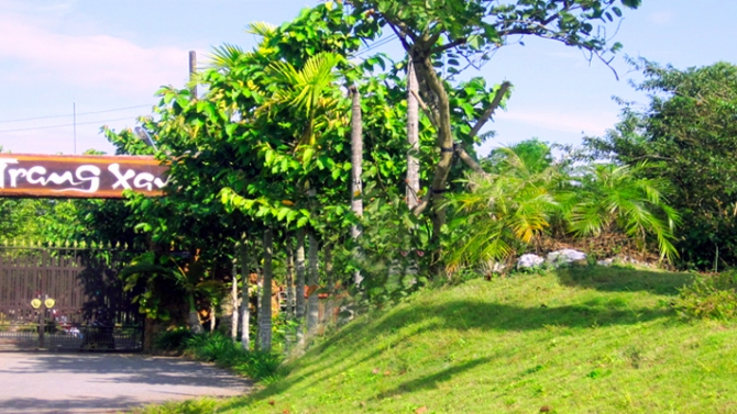 Dịch sản phẩm c&ocirc;ng ty