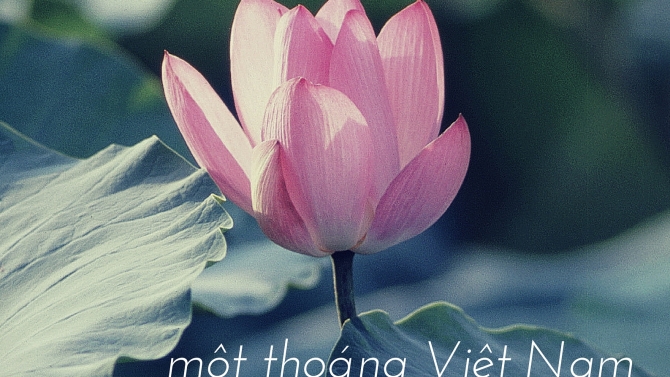 Poster cho Vietnam Airlines (School Project)