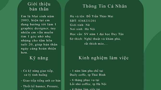 Thiết kế CV