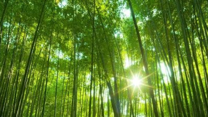 Thiết kế v&agrave; nhập liệu