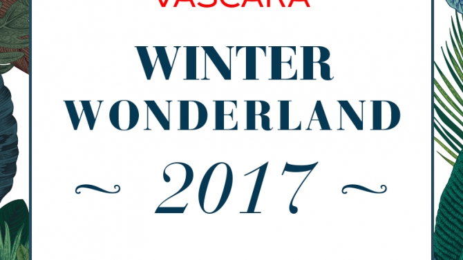Winter Wonderland2017