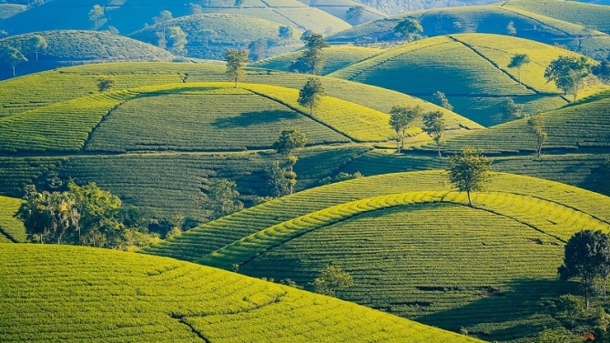 quản l&iacute; pg
