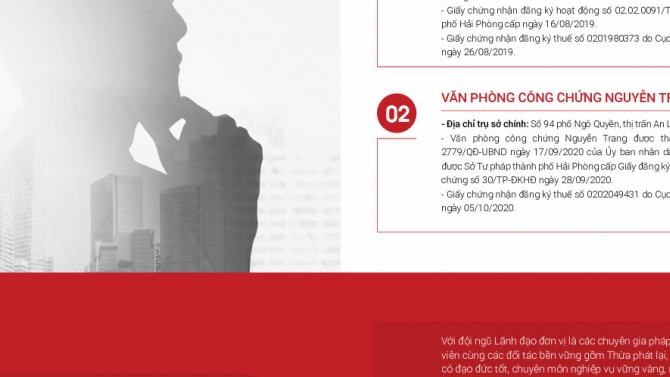 Hồ sơ năng lực Luật Nguyễn Trang