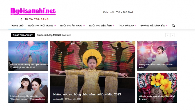 Thiết kế website ngoisaonhi