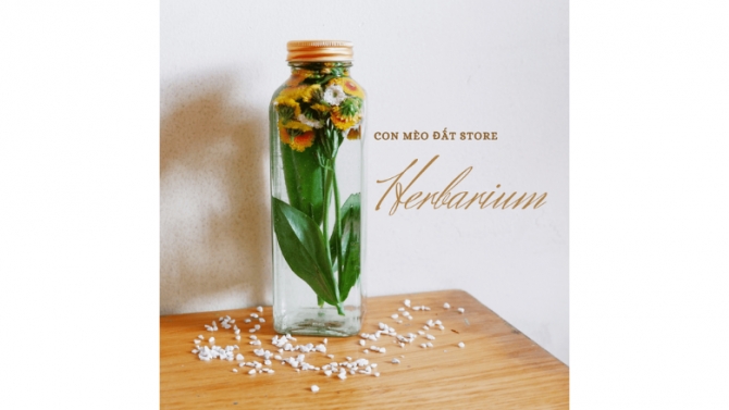 Chụp v&agrave; chỉnh sửa ảnh sản phẩm