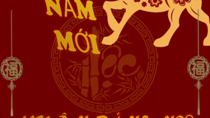 Thiết kế banner, poster...