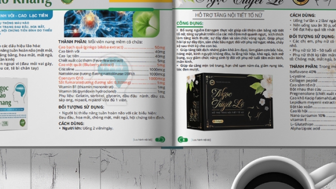Thiết Kế Catalogue Doanh Nghiệp