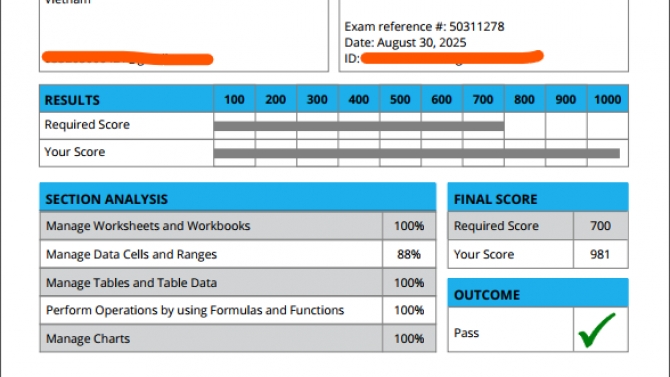MOS Excel .png